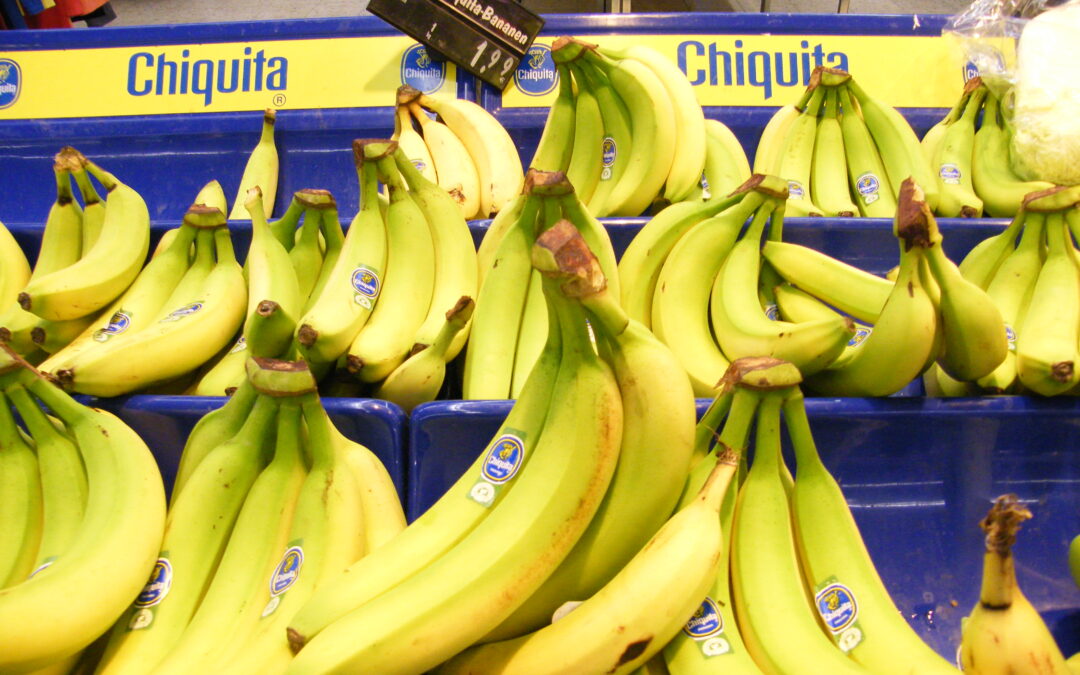 Chiquita Lawsuit – Banana Company or Warlord Clique?