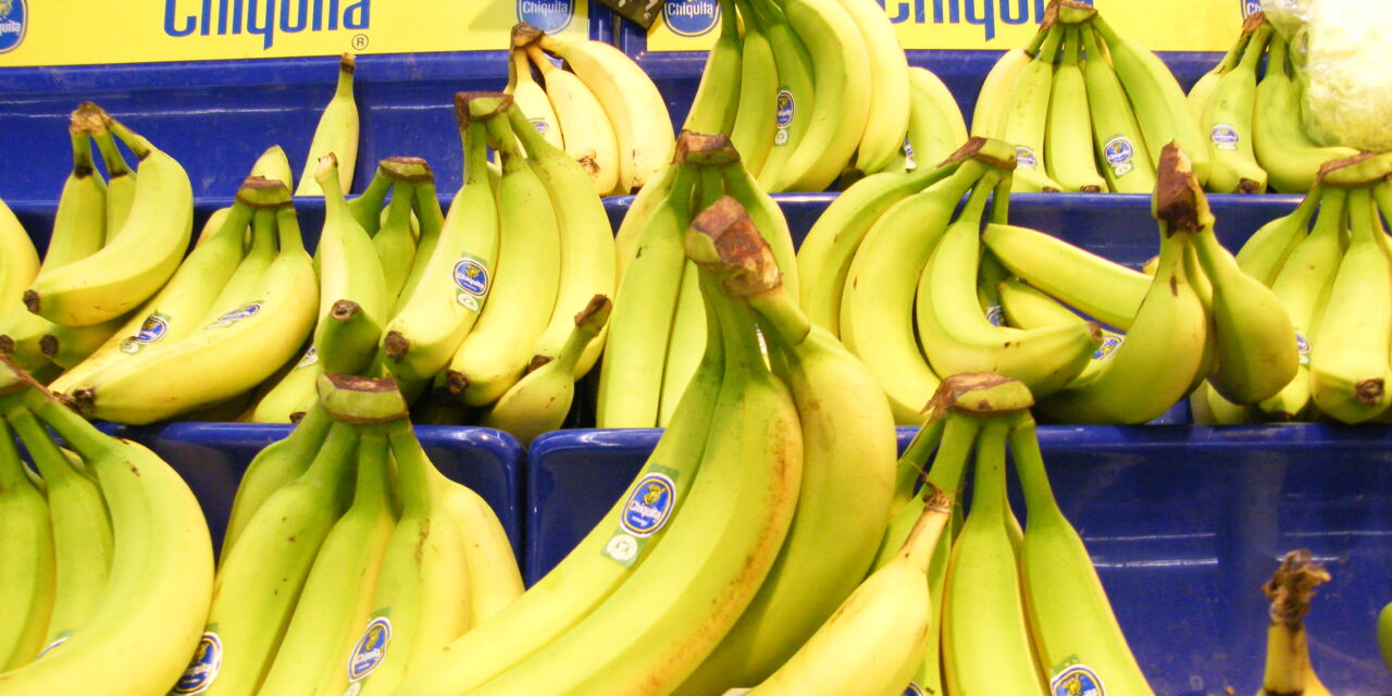 Chiquita Lawsuit – Banana Company or Warlord Clique?