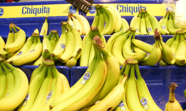 Chiquita Lawsuit – Banana Company or Warlord Clique?